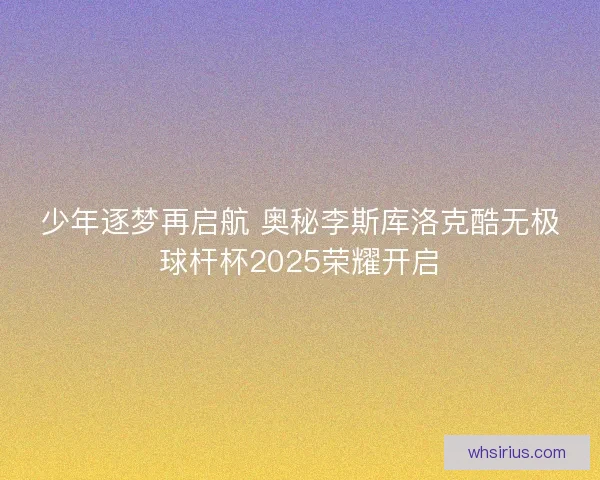 少年逐梦再启航 奥秘李斯库洛克酷无极球杆杯2025荣耀开启