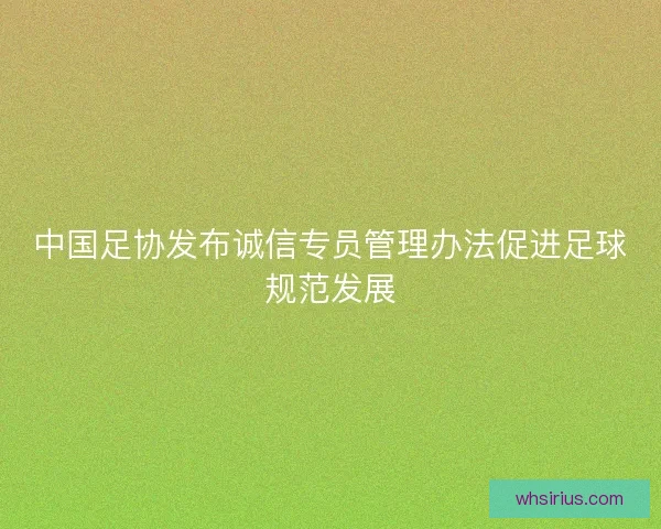 中国足协发布诚信专员管理办法促进足球规范发展