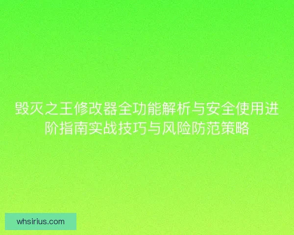 毁灭之王修改器全功能解析与安全使用进阶指南实战技巧与风险防范策略